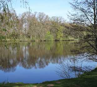 Impressionen vom Weg um den Hasportsee
