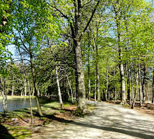 Garten- und Teichlandschaft in der Peripherie