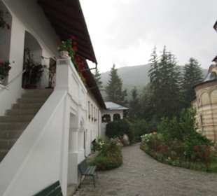 Mănăstirea Cozia