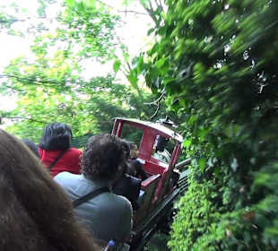 Themenbereich Österreich