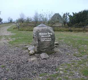 Wilseder Berg