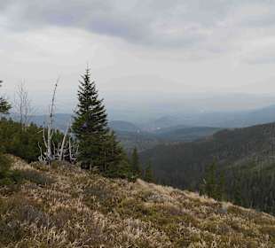 Berg Schneekoppe/Śnieżka