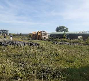 Gelände der Bundesgartenschau 2023