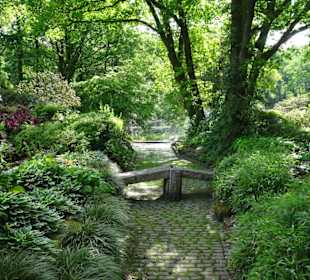 Spaziergang durch den Botanischen Garten Bremen