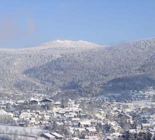 Bodenmais Wintertraum mit Arber