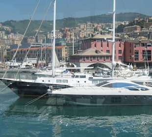 Vista del porto dall'acquario