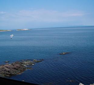 Blick aus der "Mühle"