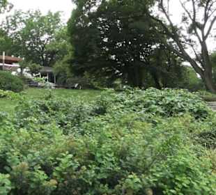 Alter Botanischer Garten