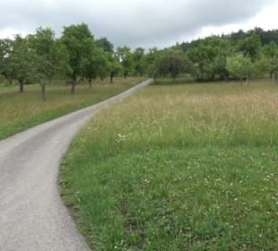 Schutzgebiet Spitzberg, Pfaffenberg
