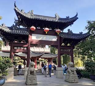 Chinesisches Teehaus im Luisenpark