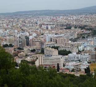 Blick vom Castell de Bellver