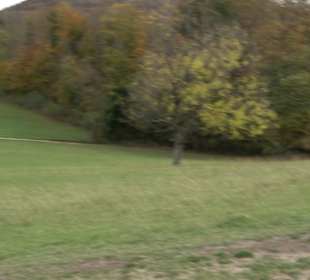 Wandertour "Rund um denWandert Rossberg" Öschingen