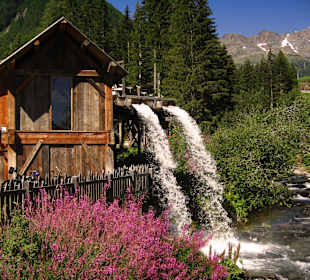 Nationalparkhaus "Lahnersäge"