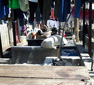 Dhobi Ghat