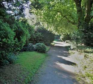 Rundgang über den Mühlenfriedhof