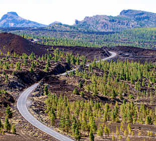 Im Nationalpark rund um den Teide