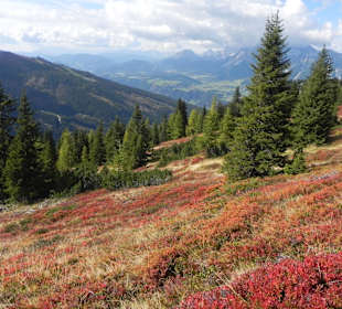 Wandern Schladming