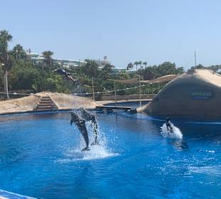 Aqualand Costa Adeje