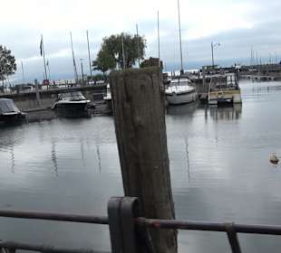 Skulptur "HockendeSkulptur "Hockender r Schwimmer"