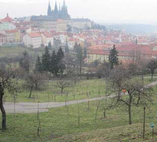 Strachov Garten