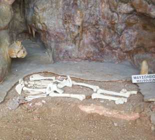 Nachbildung des Skelettfundes im Museum