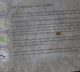 Dinosaurier Museum Altmühltal