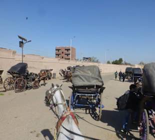 Kutschfahrt durch Edfu Ägypten