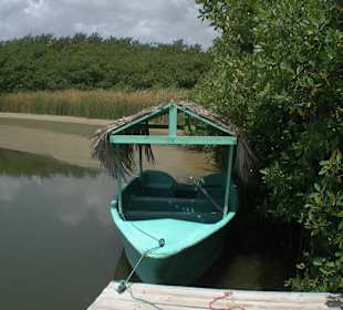 Laguna Bavaro