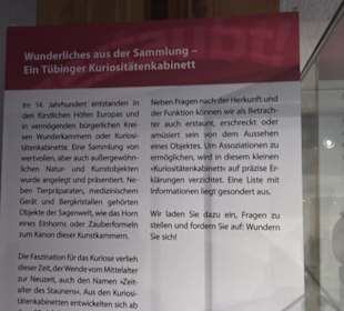 Stadtmuseum