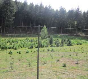 Auf dem Weg zum Hilschweiher