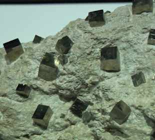 Elder-Museum Las Palmas