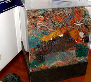 Sonderthema Meeresverschmutzung