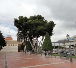 Schöner Park
