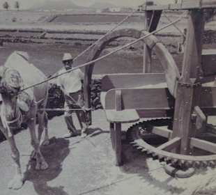 Arbeit an der Mühle