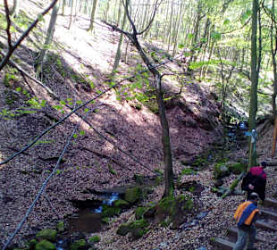 Naturdenkmal Elendsklamm in Landstuhl