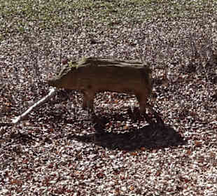 Naturerlebnispfad Meidelstetten