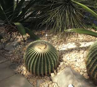 Botanischer Garten