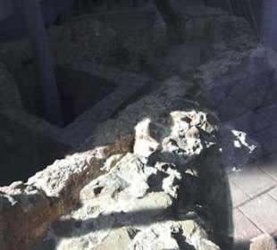 Thermen am Viehmarkt