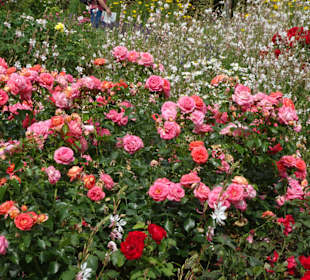 Impressionen aus dem Park der Gärten