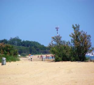 Bis zum Busch Hundestrand