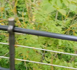 Wellnessbereich Mawell Resort 