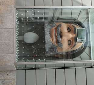 Инсталляция — гигантская голова с телевизором