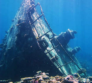 Wrack
