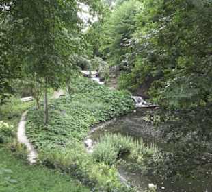 Wallgraben - Alter Botanischer Garten