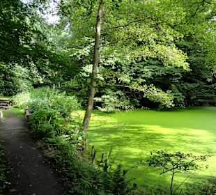Spaziergang durch Thieles Garten