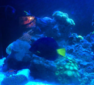 Discovery Park Manavgat 