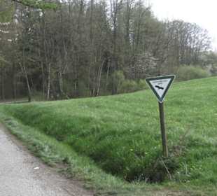 Wanderweg Firstwaldrunde