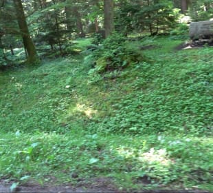 Waldfriedhof Altensteig