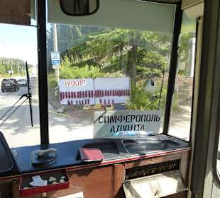 Überall konnte man Zwiebeln kaufen