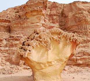 Mushroom Rock